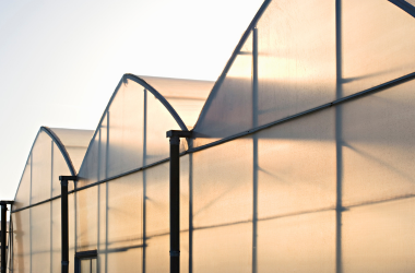 Jasa Pembuatan Greenhouse