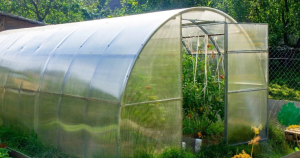 Fungsi Green House