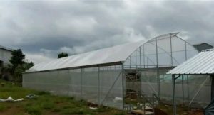 Green House Madiun