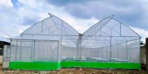 Jasa Greenhouse