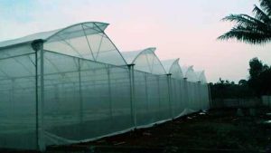 Jasa Instalasi Greenhouse