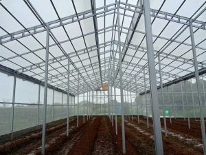 Jasa Instalasi Greenhouse Baja Ringan