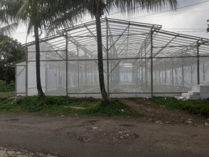 Jasa Instalasi Greenhouse Bambu