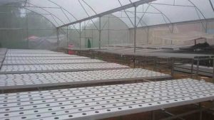 Jasa Instalasi Greenhouse Hidroponik