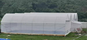 Jasa Instalasi Greenhouse Indonesia