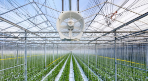 Jasa Instalasi Greenhouse Jakarta