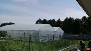 Jasa Pembuatan Greenhouse Bandung