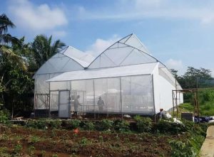 Jasa Pembuatan Greenhouse Bogor