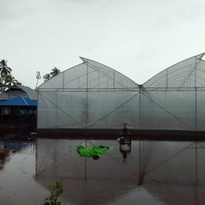 Jasa Pembuatan Greenhouse Depok
