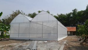 Jasa Pembuatan Greenhouse Malang