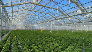 Kenapa Harus Pakai Green house