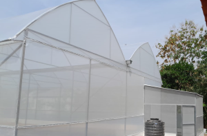 Keuntungan Greenhouse