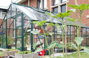 Manfaat Green House Sekolah