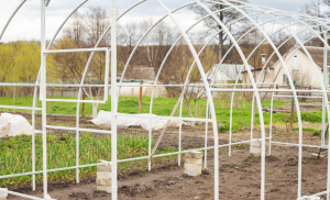 Membuat Green House