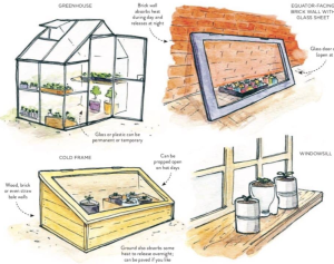 Membuat Green House Mini